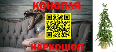 дживик Пенза