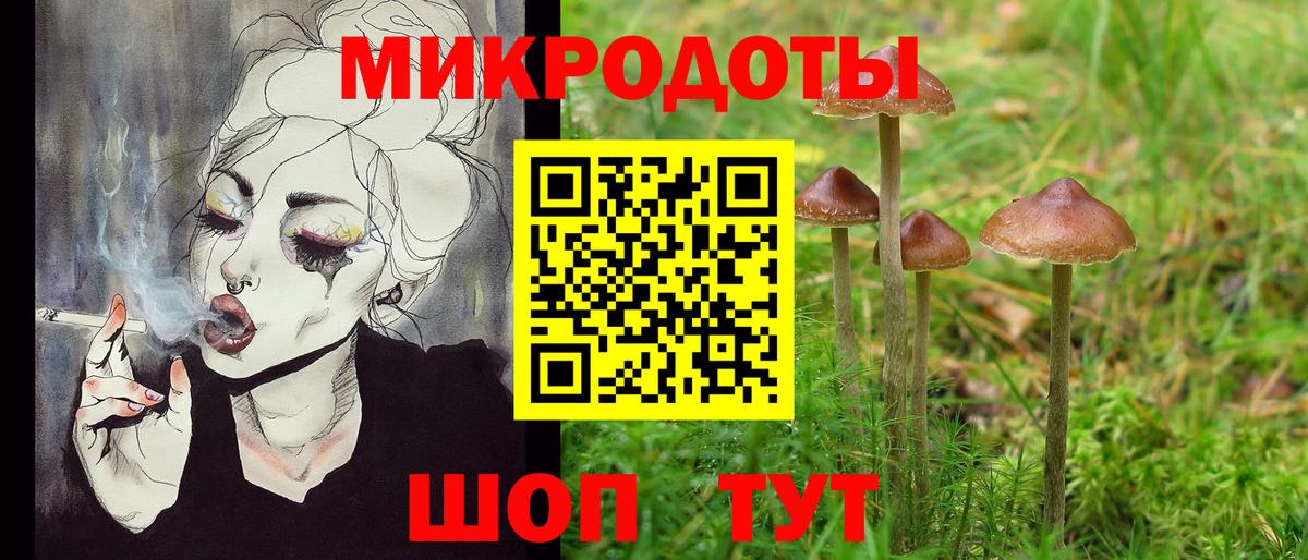 Псилоцибиновые грибы Cubensis  наркота  Сокол  Вход с VPN 