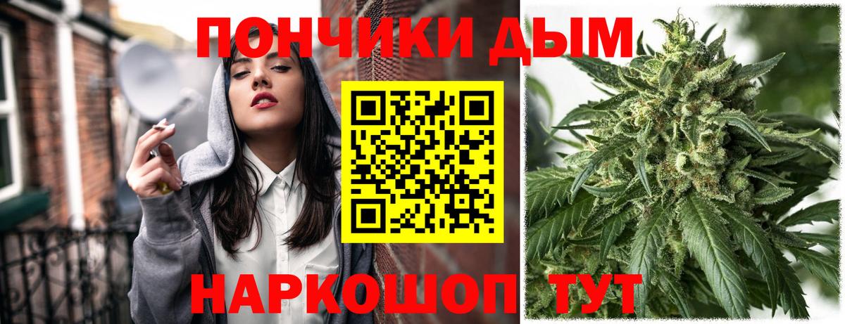 Бошки Шишки семена  Вход с VPN  Сокол  МАРИХУАНА OG Kush 